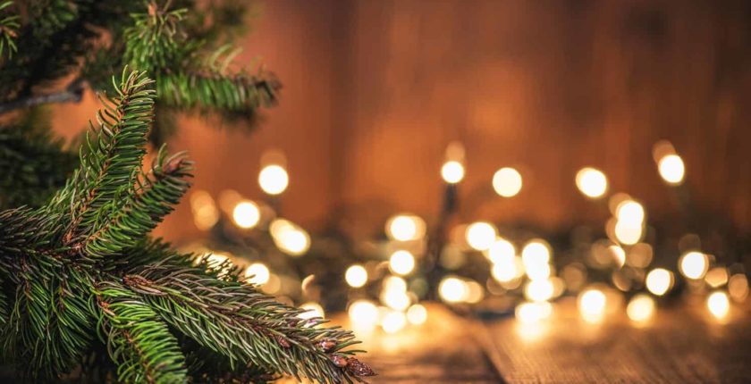 Real Christmas Tree - Sustainable Living