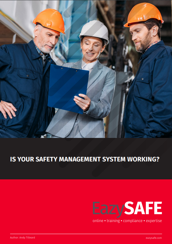 Livre blanc "is your safety management system working"