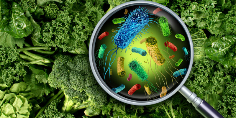 Bacteria And Germs On Vegetables Online Food Safety Training