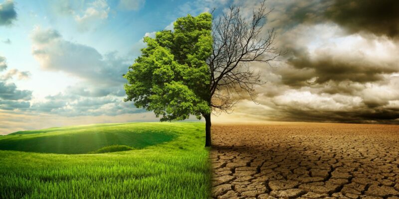 Environmental-Awareness-Training-scaled Online Environmental Awareness Training
