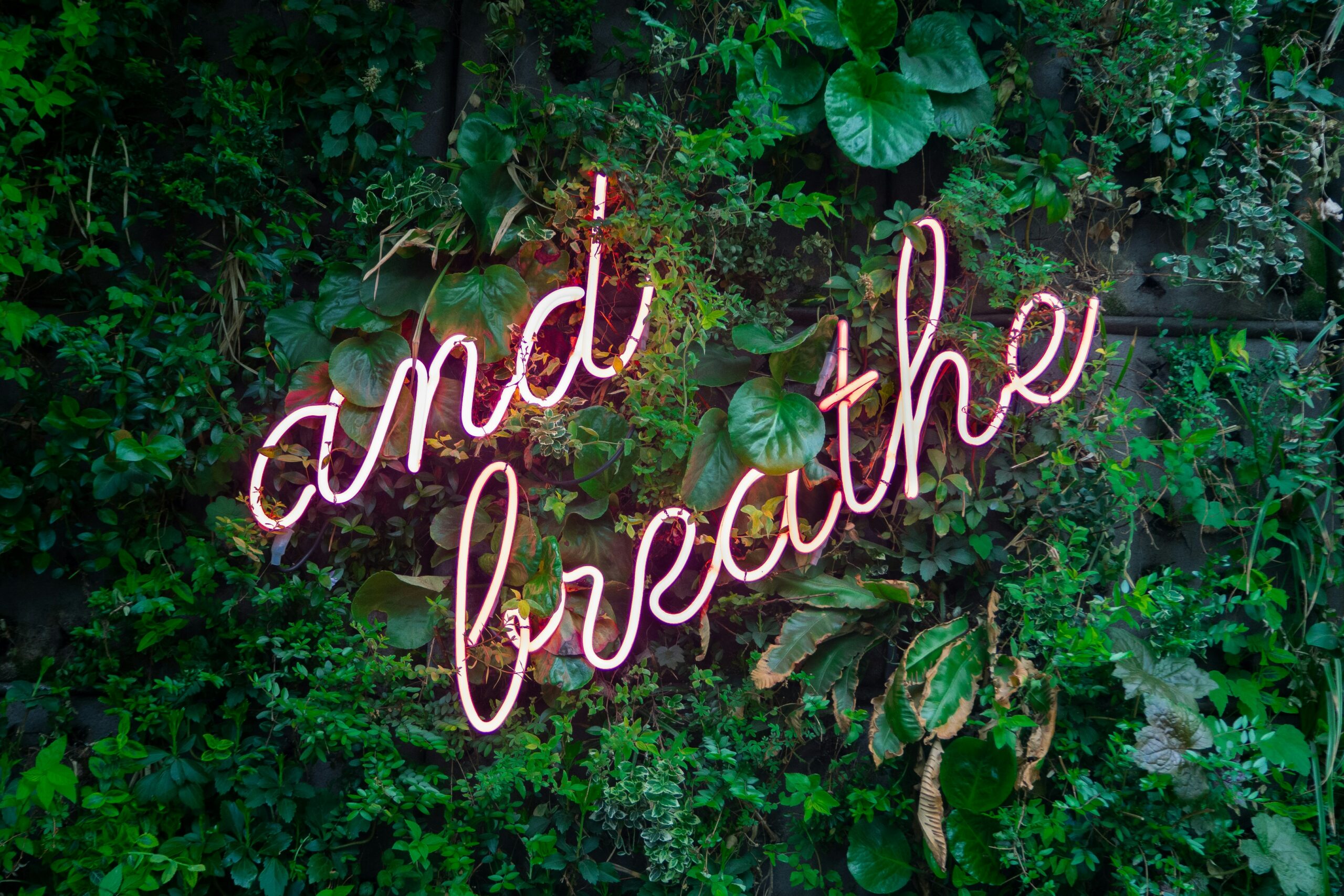 Workplace Wellness Tips